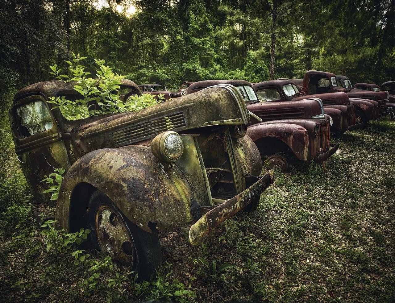 Брошенный мир машина. Заброшенные автомобили. Старые машины брошенные. Кладбище старых машин. Заброшенные машины в России.